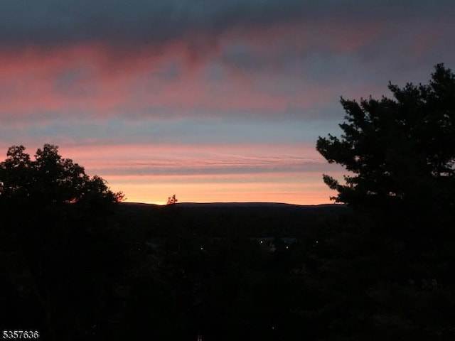 7 Canada Goose Dr, Allamuchy Twp, NJ 07840 - view of nature at dusk