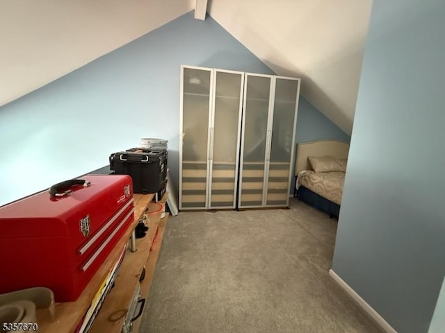 7 Deer Valley Ln Unit 6, Vernon Twp, NJ 07462 - carpeted bedroom with lofted ceiling