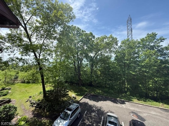 7 Deer Valley Ln Unit 6, Vernon Twp, NJ 07462 - view of yard