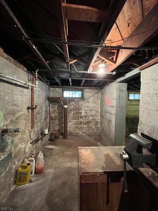 201 W Passaic Ave, Bloomfield Twp, NJ 07003 - below grade area featuring healthy amount of natural light
