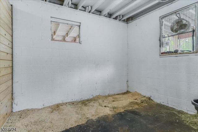 1011 Stillwater Rd, Stillwater Twp, NJ 07860 - basement featuring concrete block wall