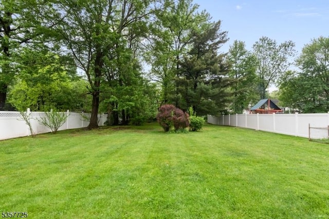 3 Red Maple Ln, Kenilworth Boro, NJ 07033 - view of yard