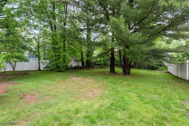 3 Red Maple Ln, Kenilworth Boro, NJ 07033 - view of yard