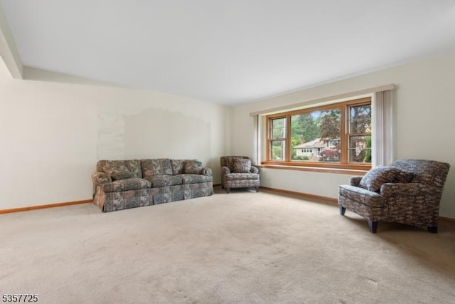 3 Red Maple Ln, Kenilworth Boro, NJ 07033 - living area with carpet flooring and baseboards