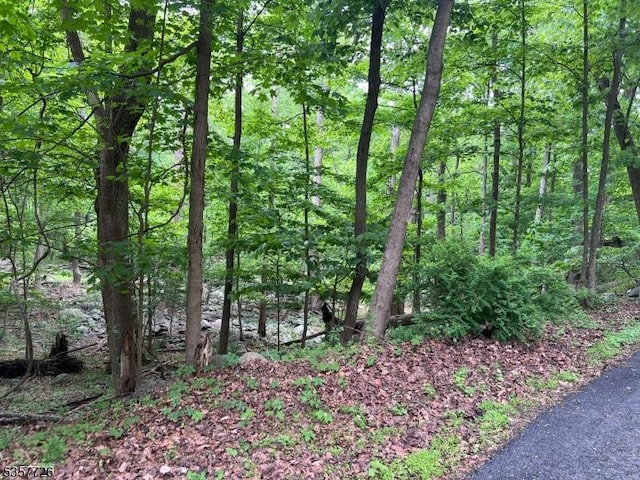 218 Magee Rd, Ringwood Boro, NJ 07456