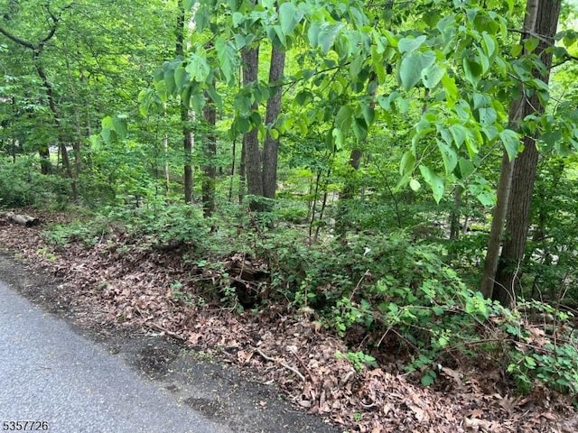 218 Magee Rd, Ringwood Boro, NJ 07456