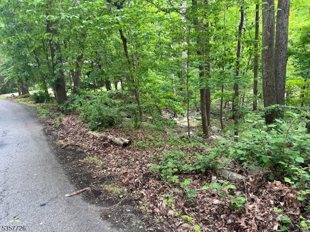 218 Magee Rd, Ringwood Boro, NJ 07456