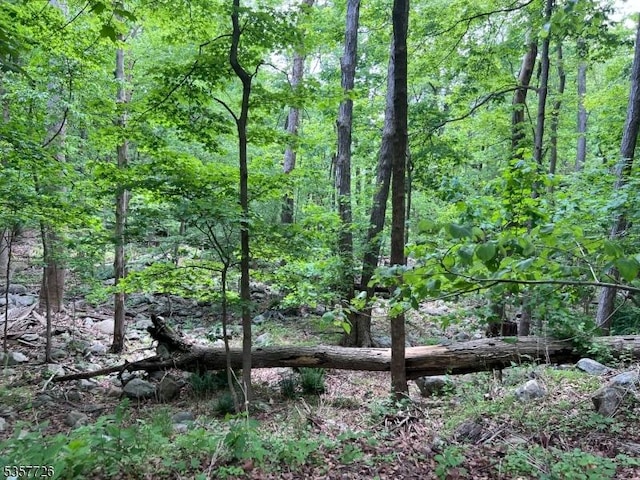 218 Magee Rd, Ringwood Boro, NJ 07456