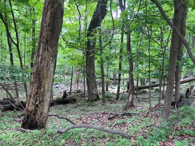 218 Magee Rd, Ringwood Boro, NJ 07456