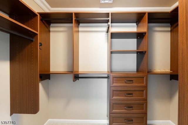 302 Waterview Ct, Hanover Twp, NJ 07927 - view of walk in closet