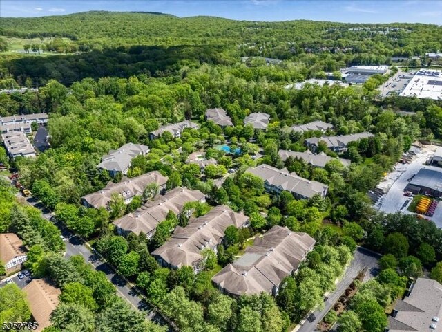 1302 Four Seasons Dr, Wayne Twp, NJ 07470 - aerial perspective of suburban area with a forest