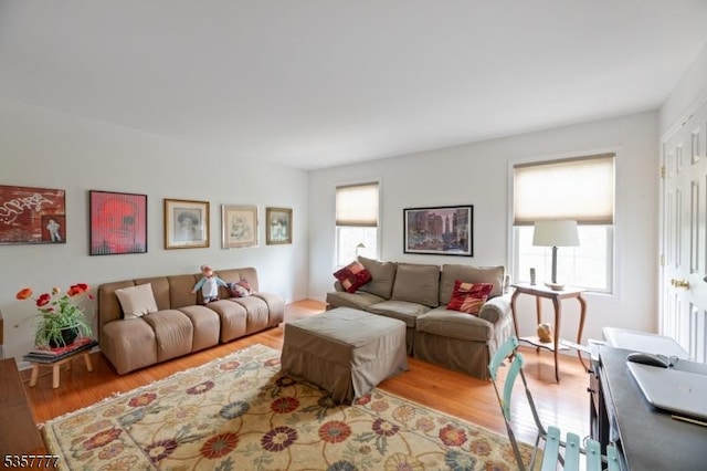 15 Riga Ct, Scotch Plains Twp, NJ 07076 - living area featuring healthy amount of natural light and light wood-style flooring