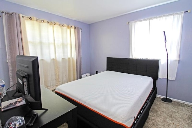 95 Richard St, Rockaway Twp, NJ 07801 - bedroom with carpet and baseboards