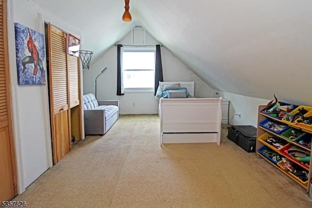 95 Richard St, Rockaway Twp, NJ 07801 - bedroom featuring carpet flooring and lofted ceiling