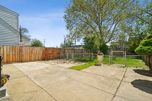 view of patio with a fenced backyard and a gate