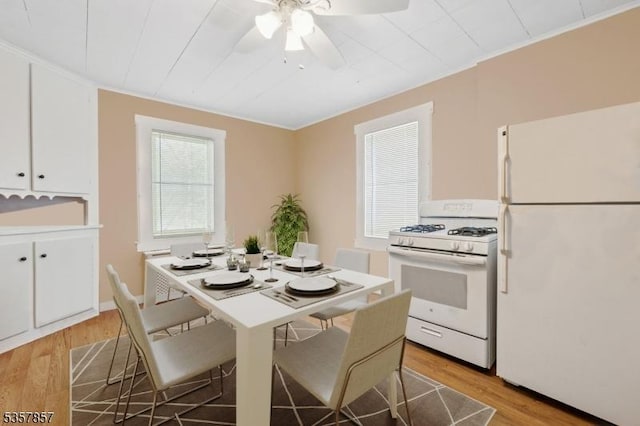 dining area with light wood-type flooring and ceiling fan