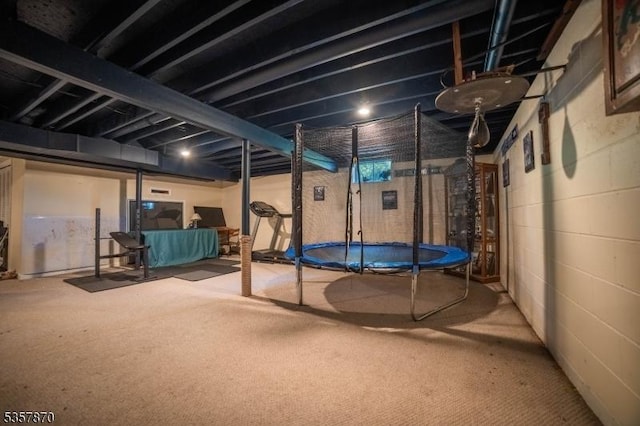 below grade area with carpet