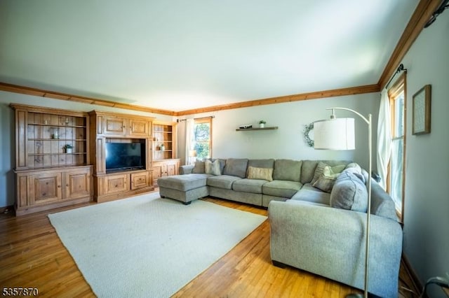 living room featuring ornamental molding and light wood finished floors