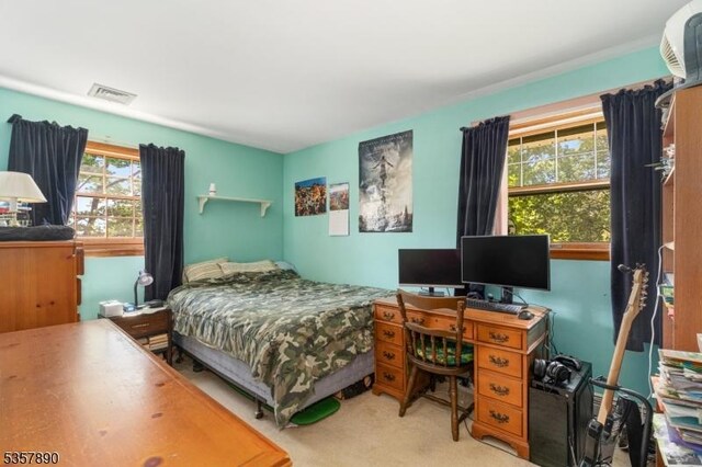 125 Annandale High Bridge Rd, Clinton Twp, NJ 08801 - view of carpeted bedroom