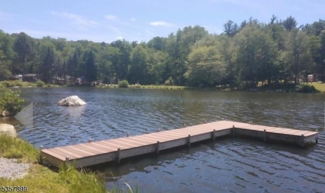 30 Hemlock Vlg, Vernon Twp, NJ 07461 - dock featuring a water view and a forest view