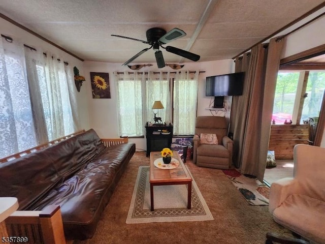 30 Hemlock Vlg, Vernon Twp, NJ 07461 - living area with ceiling fan and carpet flooring