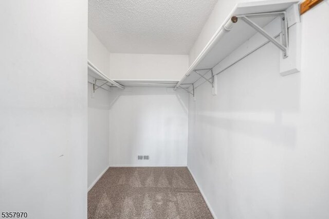 26 Fisher Dr Unit 2704, Franklin Twp, NJ 08823 - walk in closet with carpet
