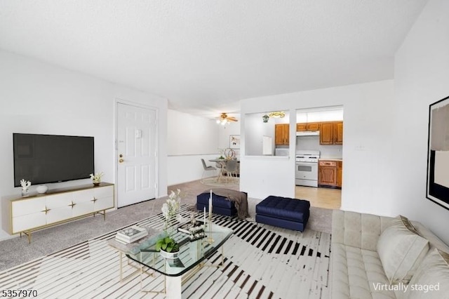26 Fisher Dr Unit 2704, Franklin Twp, NJ 08823 - living area with light carpet