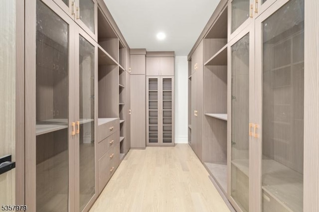 370 Hartshorn Dr, Millburn Twp, NJ 07078 - spacious closet featuring light wood finished floors