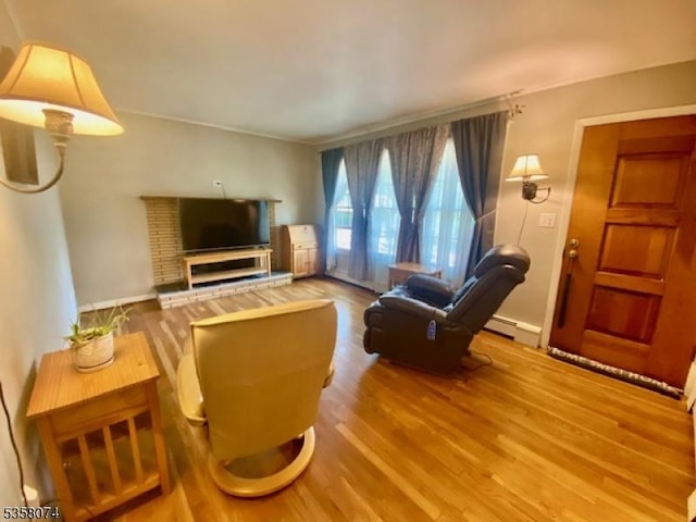 living room featuring wood finished floors, a baseboard radiator, and baseboards