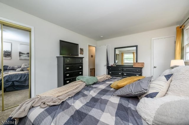 bedroom with carpet flooring and a closet