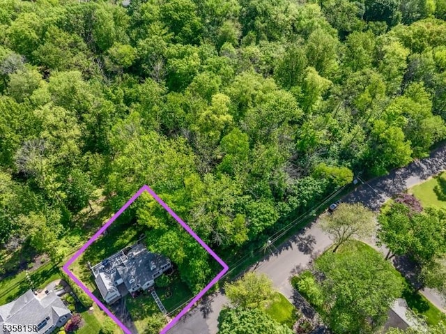 aerial view of property and surrounding area featuring property parcel outlined and a forest