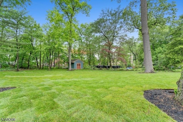 view of grassy yard featuring an outbuilding, a storage shed, and view of scattered trees