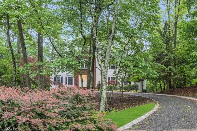 22 Timberline Dr, Bridgewater Twp, NJ 08807 - view of yard