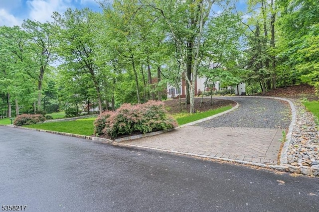 22 Timberline Dr, Bridgewater Twp, NJ 08807 - view of property hidden behind natural elements with driveway