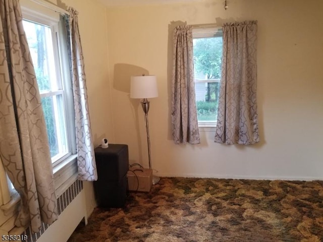 18 Cray Ter, Fanwood Boro, NJ 07023 - spare room with healthy amount of natural light and dark carpet