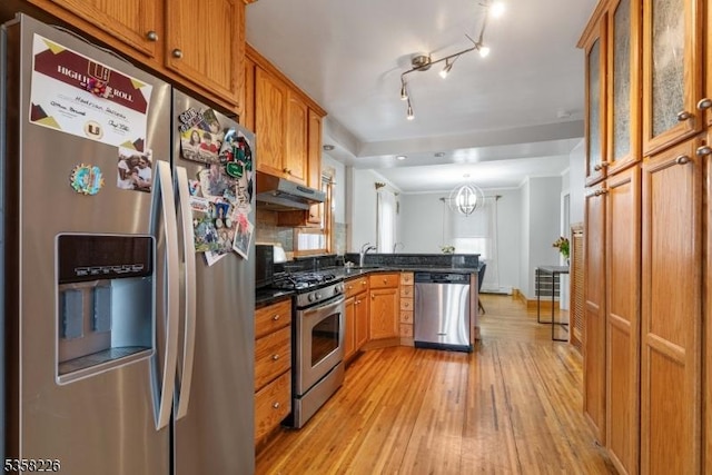 kitchen with stainless steel appliances, a peninsula, under cabinet range hood, light wood-style floors, and dark countertops