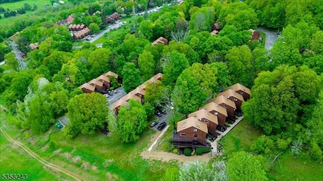 3 Telemark Dr Unit 10, Vernon Twp, NJ 07462 - aerial view of property and surrounding area