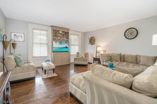 living area with dark wood-type flooring