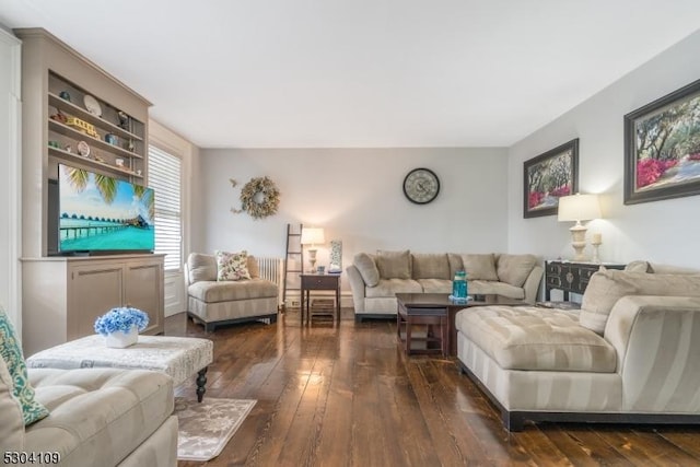 living room with dark wood-type flooring