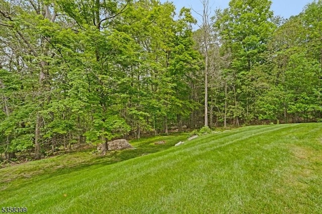 67 Brookwood Rd, Byram Twp, NJ 07874 - view of grassy yard featuring a wooded view