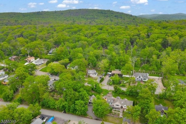 104 Lake Park Ter, West Milford Twp, NJ 07421 - aerial overview of property's location with a heavily wooded area