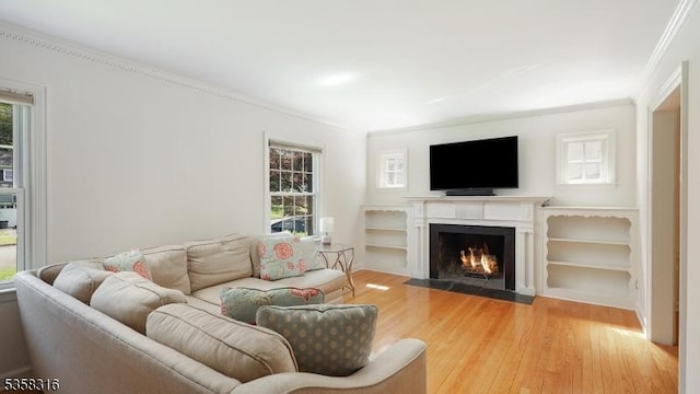 126 Wells St, Westfield Town, NJ 07090 - living room with crown molding, light wood-style floors, and a fireplace with flush hearth