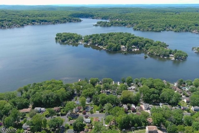 125 Schwarz Blvd, Jefferson Twp, NJ 07849 - bird's eye view of a forest and a nearby body of water