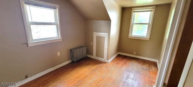 15 Fairfield Ave, Mine Hill Twp, NJ 07801 - additional living space with radiator, light wood-style floors, baseboards, and vaulted ceiling