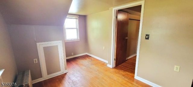 15 Fairfield Ave, Mine Hill Twp, NJ 07801 - additional living space with wood finished floors, baseboards, and lofted ceiling