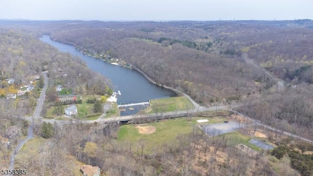 926 Cedar Dr, Stillwater Twp, NJ 07860 - aerial view of property and surrounding area featuring a large body of water and a heavily wooded area