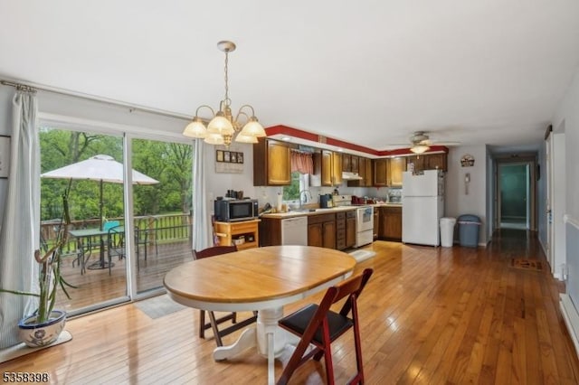 dining room with healthy amount of natural light, light wood-style floors, a chandelier, and ceiling fan