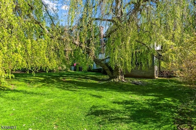 view of green lawn