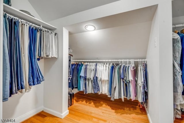9 Colgate Ct, Franklin Twp, NJ 08873 - spacious closet with wood finished floors and vaulted ceiling