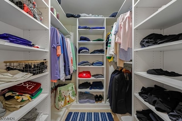 view of spacious closet